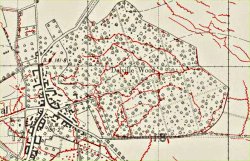Map of Delville Wood, 31 July 1916