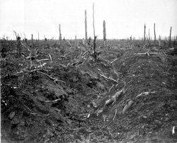 An abandoned German trench in Delville Wood, September 1916