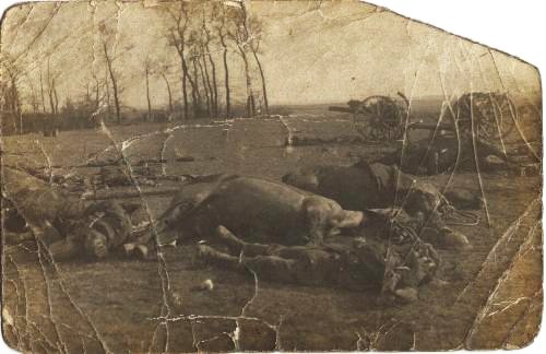 Dead British soldiers left on the battlefield after the Battle of Le Cateau (1914)